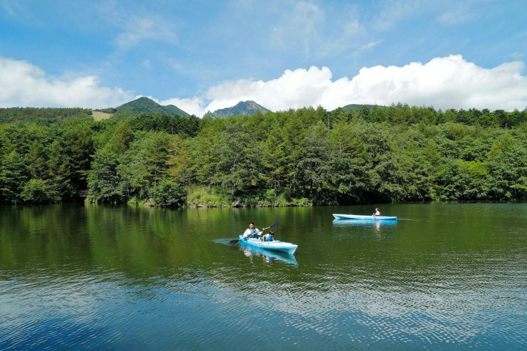 Grand Mercure Yatsugatake & 5* Hokuto (Yamanashi)